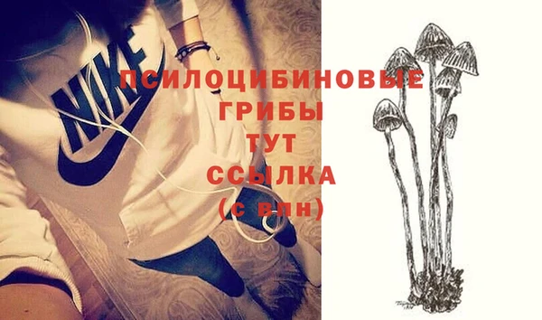 ешки Алексеевка