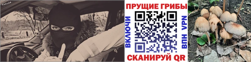 продажа наркотиков  Сочи  Галлюциногенные грибы Psilocybe 